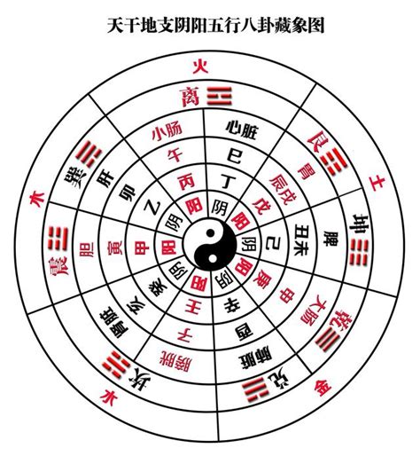 東南西北屬性|風水常識之九宮、二十四山、五行方位